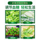 修正辅助调节血糖津玉袋泡茶配青钱柳玉米须降桑叶苦瓜片干血糖高茶 3盒 2g*20袋