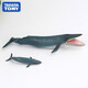 Dome Tomy Dome Kaamlia Simulate Animal Model Raccoon Flamingo Gorilla Shark Blue Whale Ocean Toy [AS-35] Cat Bear (avec feuilles de bambou) 11949