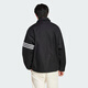 Adidas 2025 spring men's three-leaf clover short stylish comfortable warm cotton jacket JC9906 S