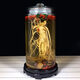 Pékin Tongrentang Jilin Ginseng Changbaisishan Ginseng frais du ginseng frais nord-est rempli de gros vin (le poids brut par branche est d'environ 50 grammes)