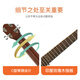 SAGA (SAGA) SF830 Guitarra folclórica para hombres y mujeres Principiantes Guitarra avanzada de vele de luz [Agencia de inteligencia de guitarra] Color de registro SF830GC/Ángulo notificado/Luz brillante