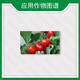 Guoguang non-falling and anti-falling agent 24 24-drop sodium salt plant growth regulator 2.4-d tomato flower and fruit 1 1g*10 bags