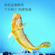 Member Store No. 1 Ningde Sanguai Yellow Croaker, net weight 2Jin Jin is equal to 0.5kg / 4 large yellow croakers, deep sea fish, frozen seafood and aquatic products, fresh