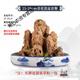 Shangshui stone absorbent stone rockery bonsai original stone Shangshui stone micro landscape landscaping strange stone ornamental stone matching decoration 15-19cm water absorbent stone does not include pot and comes with grass seeds and stones
