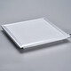 FSL Foshan Lighting integrated ceiling light LED panel light embedded aluminum gusset plate light 300*300 high display metal frame 18w white light silver