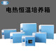 Shanghai Yiheng Calefacción eléctrica y constante incubadora Germinación de laboratorio Fermentación DHP-9032 Incubadora biológica DHP-9272