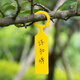 Shipton gardening buckle label thickened plastic waterproof nursery stock flower grape watermelon mark fruit tree plant mark mixed color random (100 pictures)