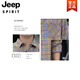 JEEP SPIRIT格子休闲衬衫男士春秋季长袖衬衣韩式上衣服复古宽松夏季薄款外套 K12108灰色 M 90-110斤