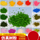 TLXT怡迪美DIY手工场景观沙盘建筑模型制作材料仿真树木海绵草粉 树粉 红色T-724 30克