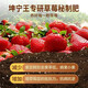 Strawberry special nutrient soil strawberry organic fertilizer special soil strawberry seedlings potted balcony planting soil strawberry special nutrient soil 10Jin Jin is equal to 0.5 kg