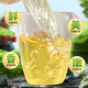 恬和茶叶 安溪铁观音 新茶特级秋茶高山兰花香乌龙茶 【特级安溪铁观音罐装125g】