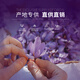 【买花送种球】正宗上海崇明藏红花 特级藏红花 正品藏红花非西藏 大众级10g