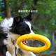 Gasco dog toy eva pull ring for medium and large dogs interactive ring golden fur edge shepherd molars and bite resistant dog boredom relief artifact