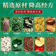 北京同仁堂北京青钱柳桑叶茶 【一盒装】体验