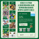 Little Bookworm Oxford English Rorting Lesungsmaterialien Leading Materials Level 123456 English Sortion Reading Grundschüler.