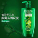 欧莱雅   L'OREAL洗发水茶树植萃去屑洗发露套装无硅油清爽控油舒缓头皮保湿留香 茶树去屑净油洗发露 500ml