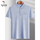 
Woodpecker (TUCANO) Middle-aged Men's Lapel Short Sleeve T-shirt Daddy Summer Thin Polo Shirt Middle-aged Ice Silk Half Sleeve Men Old Man T Ice Silk-9855 Gray Real Pocket 3XL 56/185