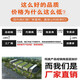 大芬村油画桌面摆画绿色清新抽象肌理北欧风客厅沙发背景墙装饰画 A款 30*40 油画布 黑框