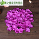 1000 pieces of non-woven fabric simulated rose petals, romantic petals, birthday decoration, proposal, wedding, Valentine's Day confession, milky white, 1000 pieces
