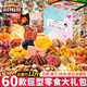 Three Squirrel Giant Snack Gift Pack for Girlfriend Gifts Meat Nuts Adult Box Internet Celebrity Casual Snack Deluxe Edition 37 models 152 packs/Little Fairy Gift Box 1350g