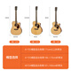 SAGA (SAGA) SF830 Guitarra folclórica para hombres y mujeres Principiantes Guitarra avanzada de vele de luz [Agencia de inteligencia de guitarra] Color de registro SF830GC/Ángulo notificado/Luz brillante