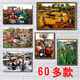 
Self-adhesive hotel decoration painting stickers Northeast folk paintings Farmhouse hanging paintings Northern rural rural farmers harvest Military green Z1048 adhesive stickers (slightly thin) 30x40 cm single