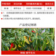 Hulian Hurunfeng 0.04% 14-hydroxybrassinosteroid anti-stress and anti-drug-damage plant growth regulator 4ml