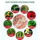 Nitrogen, phosphorus and potassium fertilizer for flowers, general chemical fertilizer, compound fertilizer, special trace element water-soluble fertilizer for vegetable and succulent potted plants, full nutrition and high-efficiency compound fertilizer. Ten Jin Jin is equal to 0.5 kilograms.