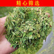 Shifangyi 2024 New Tea Mingqian Broken Tea Slices Green Tea Longjing Tea Slices Strong Flavor Tea Slices Bags Bulk Wholesale 250g
