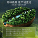 Dried bird's nest shattered, traceability, dry bird's nest shattered, Malay/Indonesia imported tonic products for pregnant women and elderly people without hair picking gift box 9A bird's nest strips 20 grams, free peak sugar, red dates