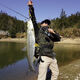 Daiwa (Daiwa) Zillion Zilong Jingyao Luya Pole simple tige à longue portée Carbon Luya Pole de pêche à la pêche universelle 2,03m Kawamura-682Mlfs