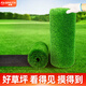 Qingya lawn simulation carpet artificial fake turf outdoor bedding kindergarten green artificial floor mat plastic grass decoration 3 cm encrypted version (2 meters wide x 15 meters long)