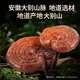 Zhizhengyuan Break Wall Wall Ganoderma lucidum порошок споры усиливает иммунитет тоник для здравоохранения.