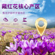 
Kangyuan Tibetan Grassland Ksaffron Selected Quality Gifts for Parents, Colleagues and Teachers’ Self-use Tibetan Tonic Tea Beverage Gift Box Te Grade Filament Saffron 5g/gift box pack