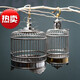 Grasshopper cage stainless steel cricket cage reptile chirping insect equipment grasshopper cage metal cage bird cage equipment large stainless steel grasshopper cage