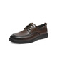 Red Dragonfly Casual Lederschuhe Herren 2025 Frühling neuer weicher Sohle komfortabler Schnür-up-Geschäft im mittleren Alter Daddy Schuhe WTA15052 Brown 44