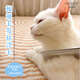 DELIGHT Pet Comb Cat and Dog Comb Ragdoll Cat Knotting Comb Teddy Bichon Dog Combing Artifact Pulling Comb DL202-2 Small Silver Comb-15cm