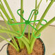 
Beautiful Monstera Support Fixer Anti-Lost Spring Feather Support Hydroponic Branches Flower Pot Flower Floor Anti-Split Climbing Frame 3 Sets Total 12 [Four Sizes]