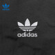 Adidas (adidas) Clover Men's Sports and Casual Trousers Pants JW9896 JW9896-2024 Fall XL