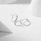 Chao Acer Zhijian PT950 platinum platinum earrings for women platinum earrings letter T gift priced at 200 yuan one pair 1.75g
