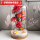 
Cork immortal flower glass cover rose ornament blind box dustproof dry flower glass cover display box cylindrical 1517cm cork base