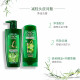 欧莱雅   L'OREAL洗发水茶树植萃去屑洗发露套装无硅油清爽控油舒缓头皮保湿留香 茶树去屑净油洗发露 500ml