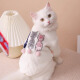 Huayuan Pet Equipment (hoopet) Cat Clothes Anti-Shedding Kitten Pets Devon Cat Winter Sweater Autumn and Winter Hairless Cat Warm Jacket Back Bow Knot Cotton Clothes Blue 2XL Bust 5055cm (recommended about 1417Jin [Jin equals 0.5kg])