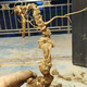 Authentischer wilder frischer Bambus Ginseng Wild Seng, Panqi Longqi Bambus Ginseng, chinesische Kräutersuppe, 250 Gramm frischer Bambus Ginseng (ca. 10 Jahre) Bamboo Ginseng