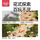 贝恩施儿童恐龙模型玩具软胶仿真恐龙-30件套生日礼（赠收纳盒）
