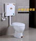 Toilet Household Ceramic Toilet Small Household 48cm Small Mini Deodorant Silent Wall Row Floor Toilet Complete Set High with 300 Pit Spacing Other/other