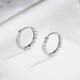 Liuguifu Jewelry PT950 Platinum Earrings Light and Shadow White Gold Stud Earrings for Women PT0200017 1.1g