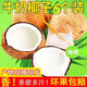 Fat Donglai's same style fresh coconut, authentic Hainan old coconut, hairy coconut, fresh seasonal fruit, green coconut, 6 packs, 1 pack