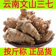 Yunnan Wenshan Chun Sanqi Wild Wild Fields Qi Prix de gros sans cire Sanqi Head Sanqi Flower Wake Soaked Agricultural Products 250g (30 pièces)