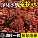 Volcanic stone granular filter material ancient fish tank landscaping bottom sand decoration turtle natural water grass mud succulent base soil A-grade finely screened volcanic stone 1-3 cm 5Jin Jin is equal to 0.5 kg